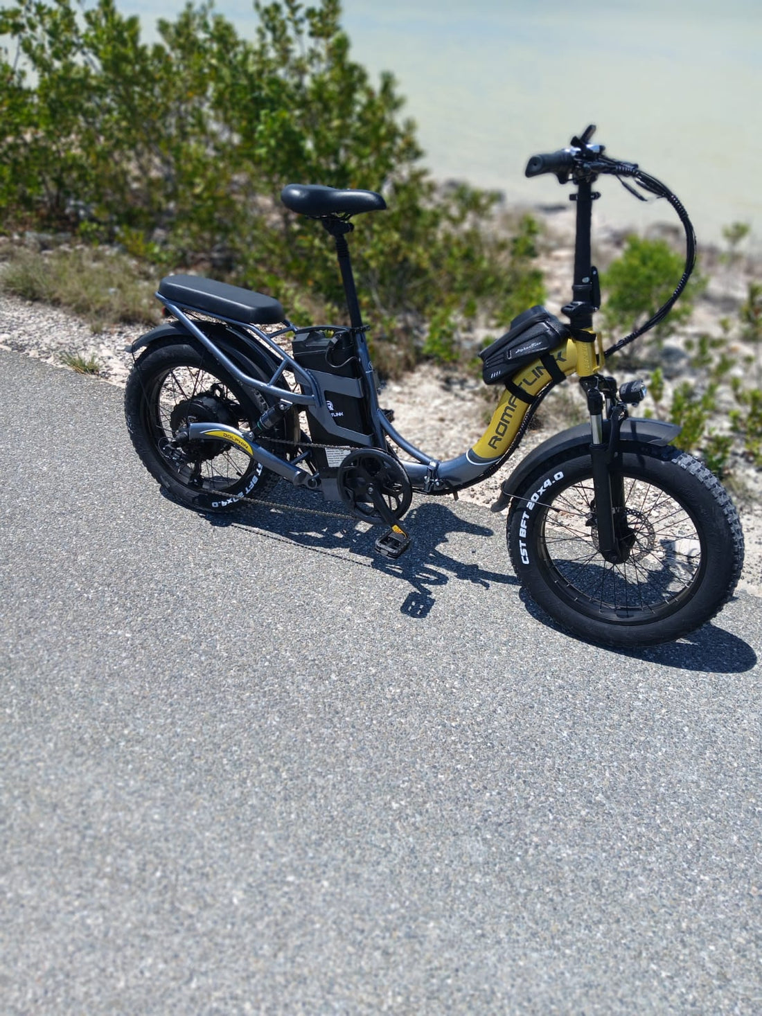 5 Facts You Need to Know About Electric Bike Licensing