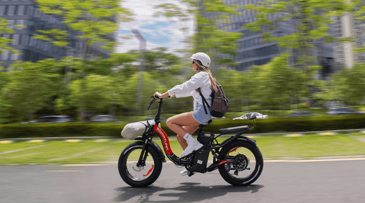 Romatlink Dolphin Electric Bicycle