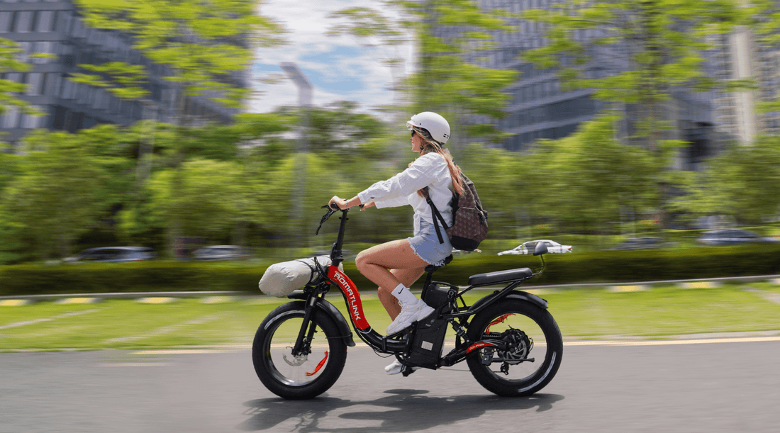 Dolphin Fat Tire Folding Electric Bike