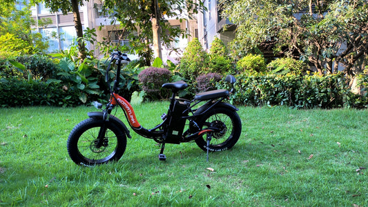 Folding Electric Bike