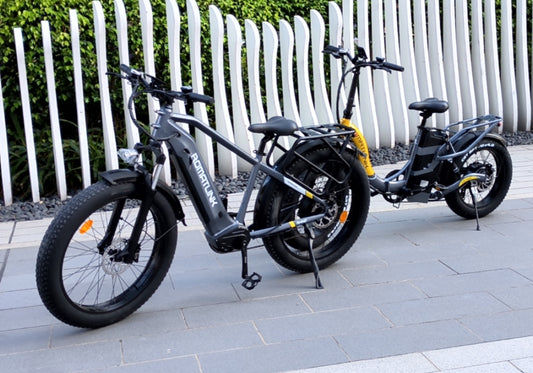 Romatlink Dolphin Step-thru Folding Electric Bike and Rhino Step-over Fat Tire Electric Bike